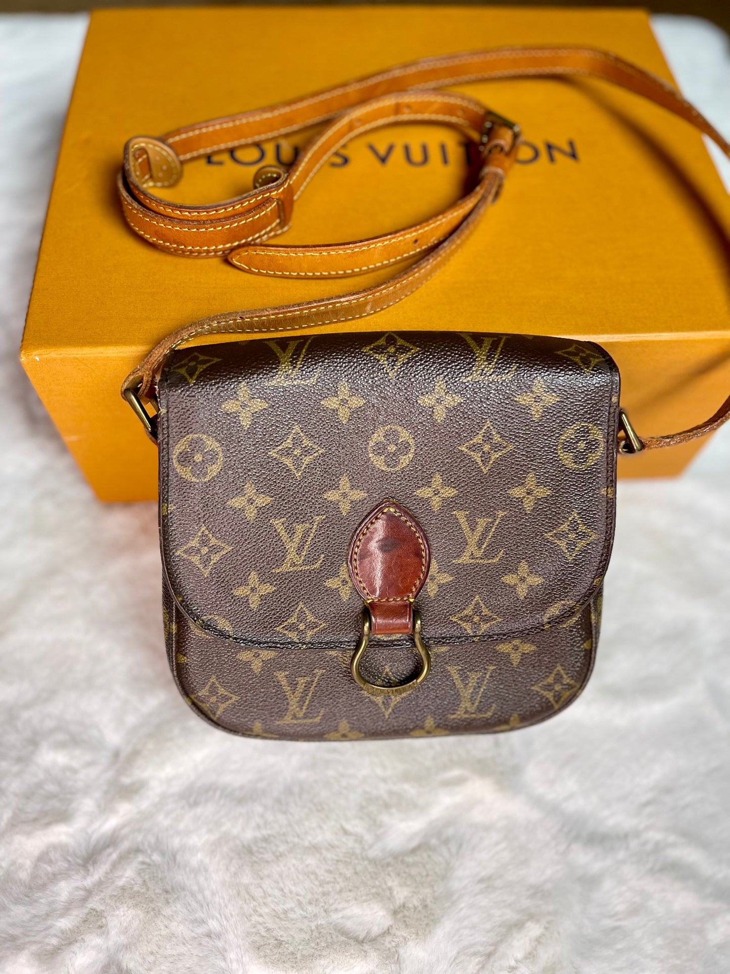 Louis Vuitton Saint Cloud PM Crossbody Handbag Vintage
