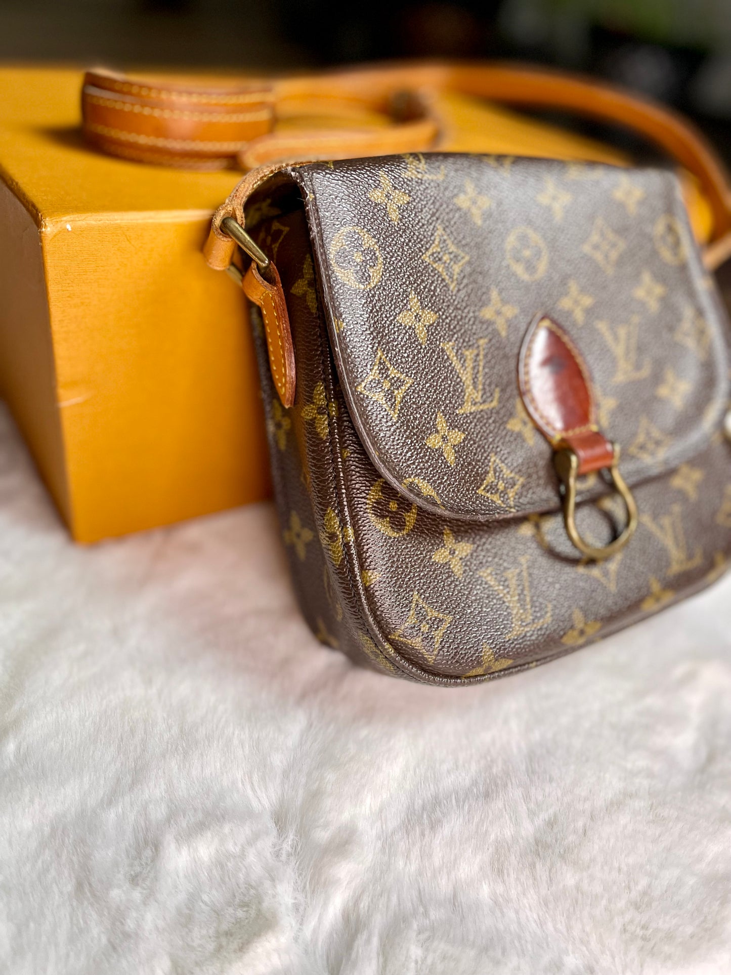 Louis Vuitton Saint Cloud PM Crossbody Handbag Vintage