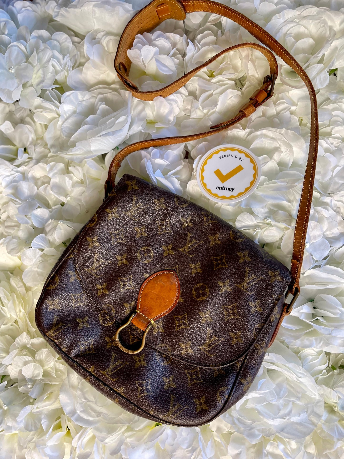 Louis Vuitton Saint Cloud GM Crossbody Bag Vintage