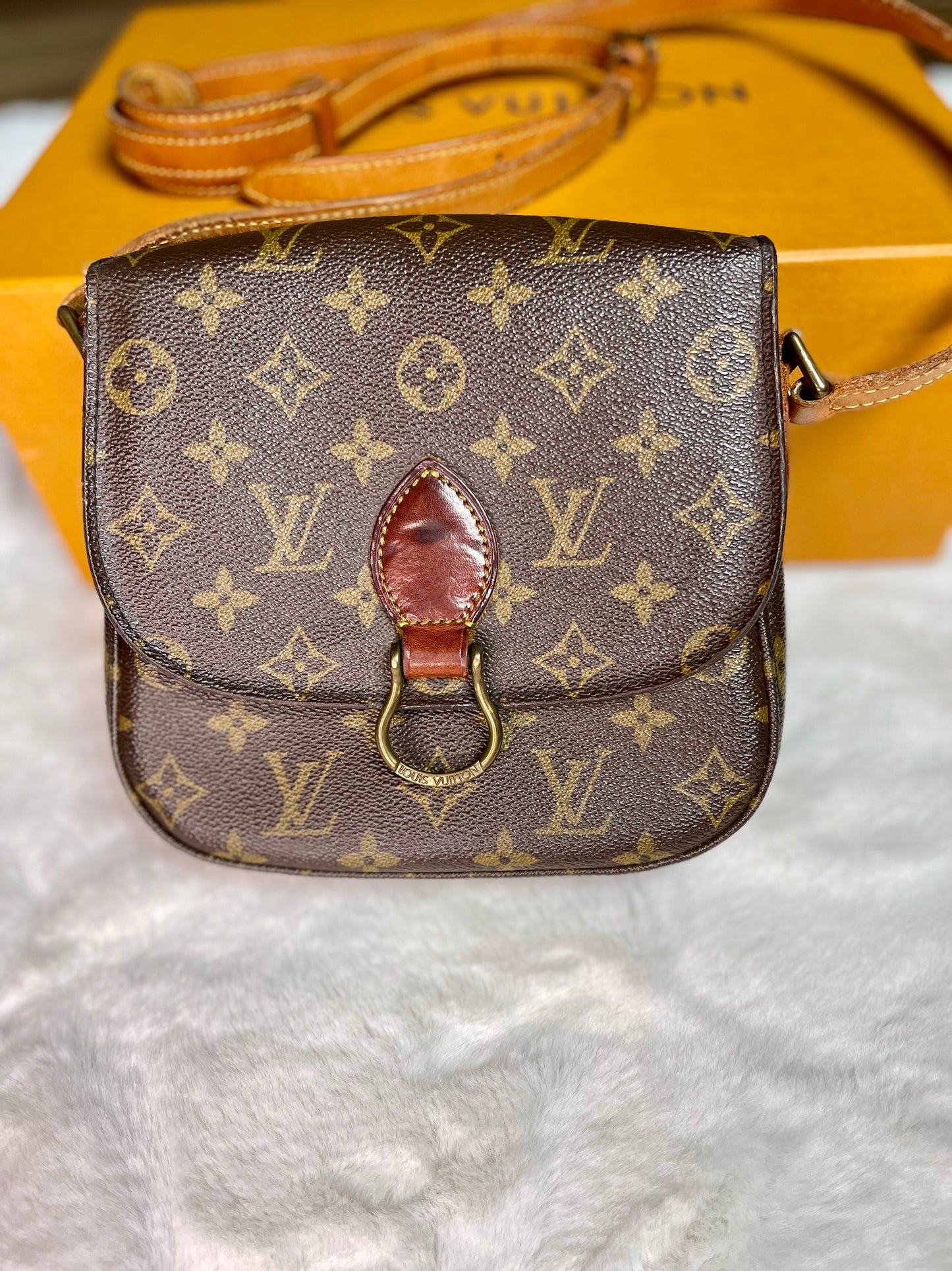 Louis Vuitton Saint Cloud PM Crossbody Handbag Vintage