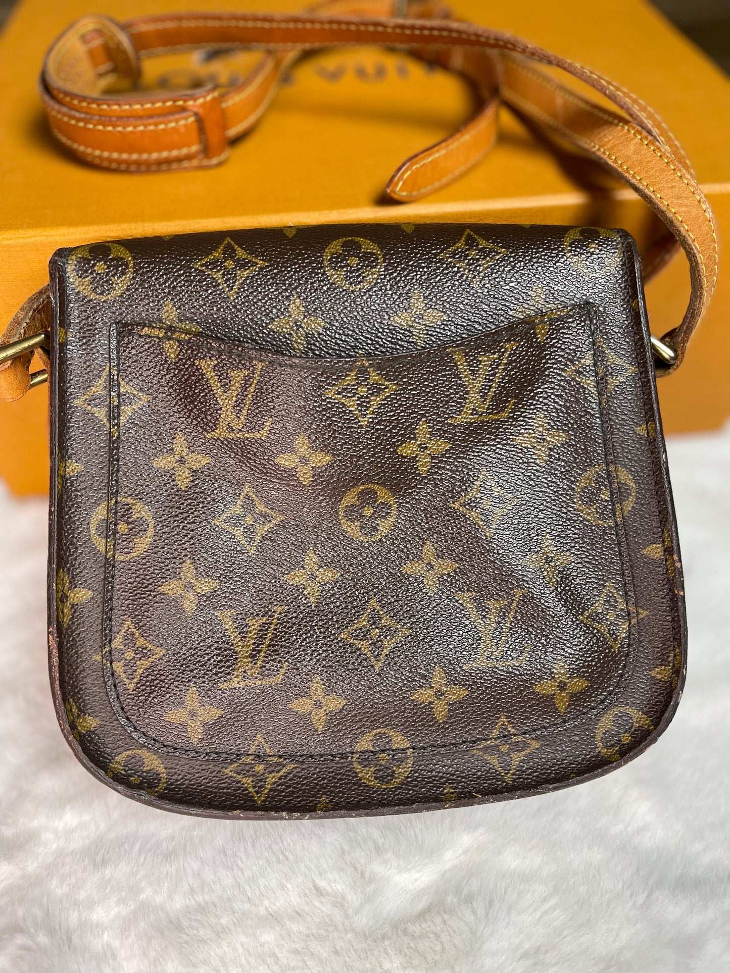 Louis Vuitton Saint Cloud PM Crossbody Handbag Vintage