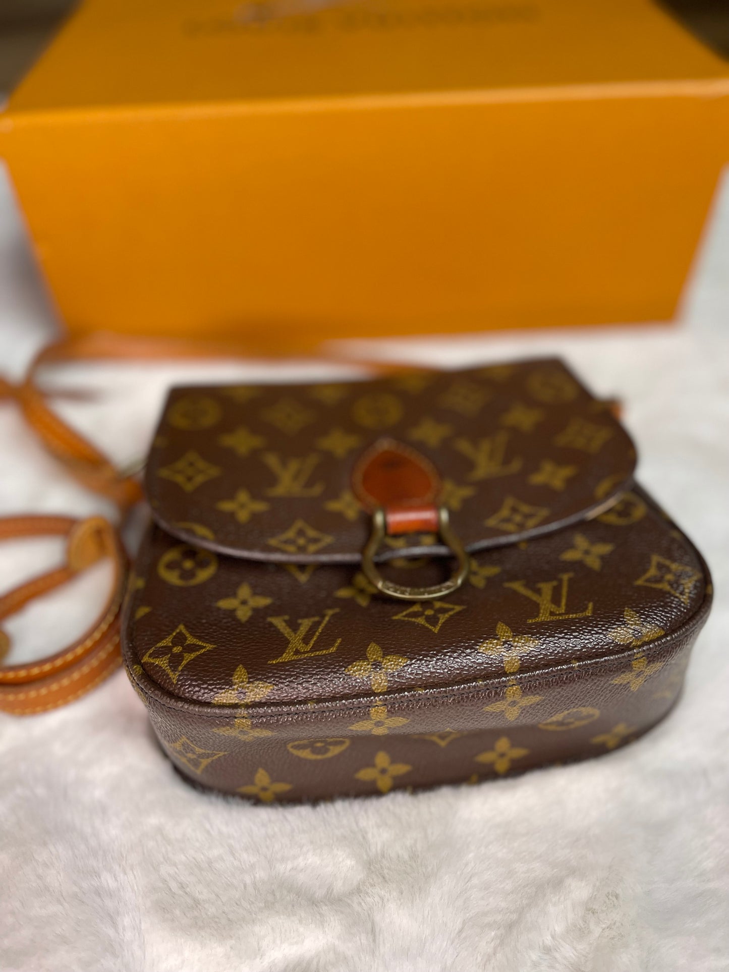 Louis Vuitton Saint Cloud PM Crossbody Handbag Vintage