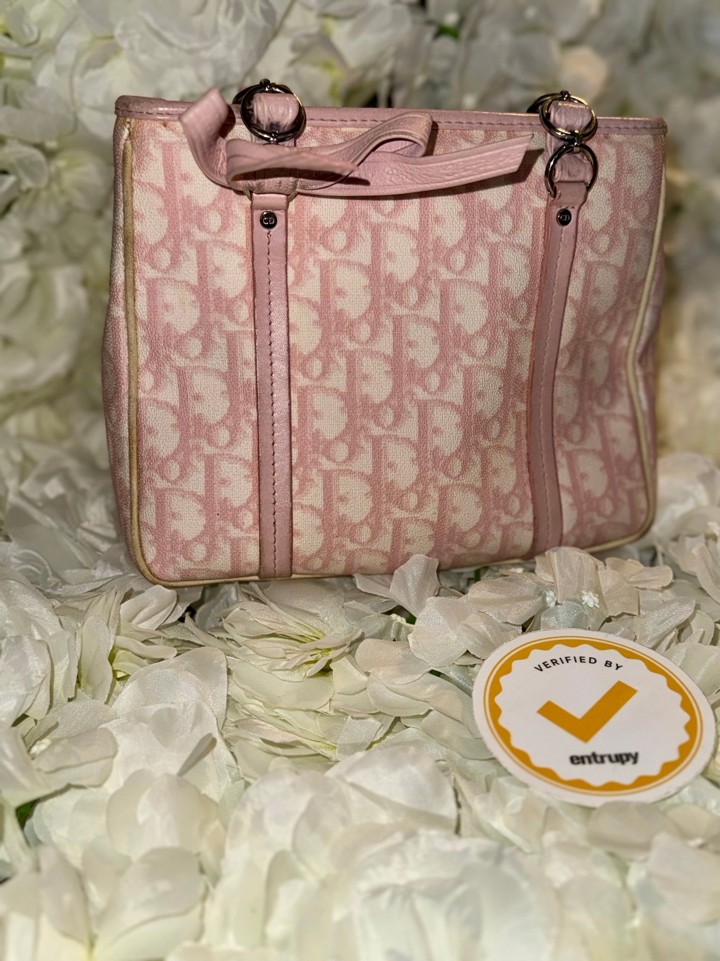 Christian Dior Romantique Trotter Mini Handbag Vintage