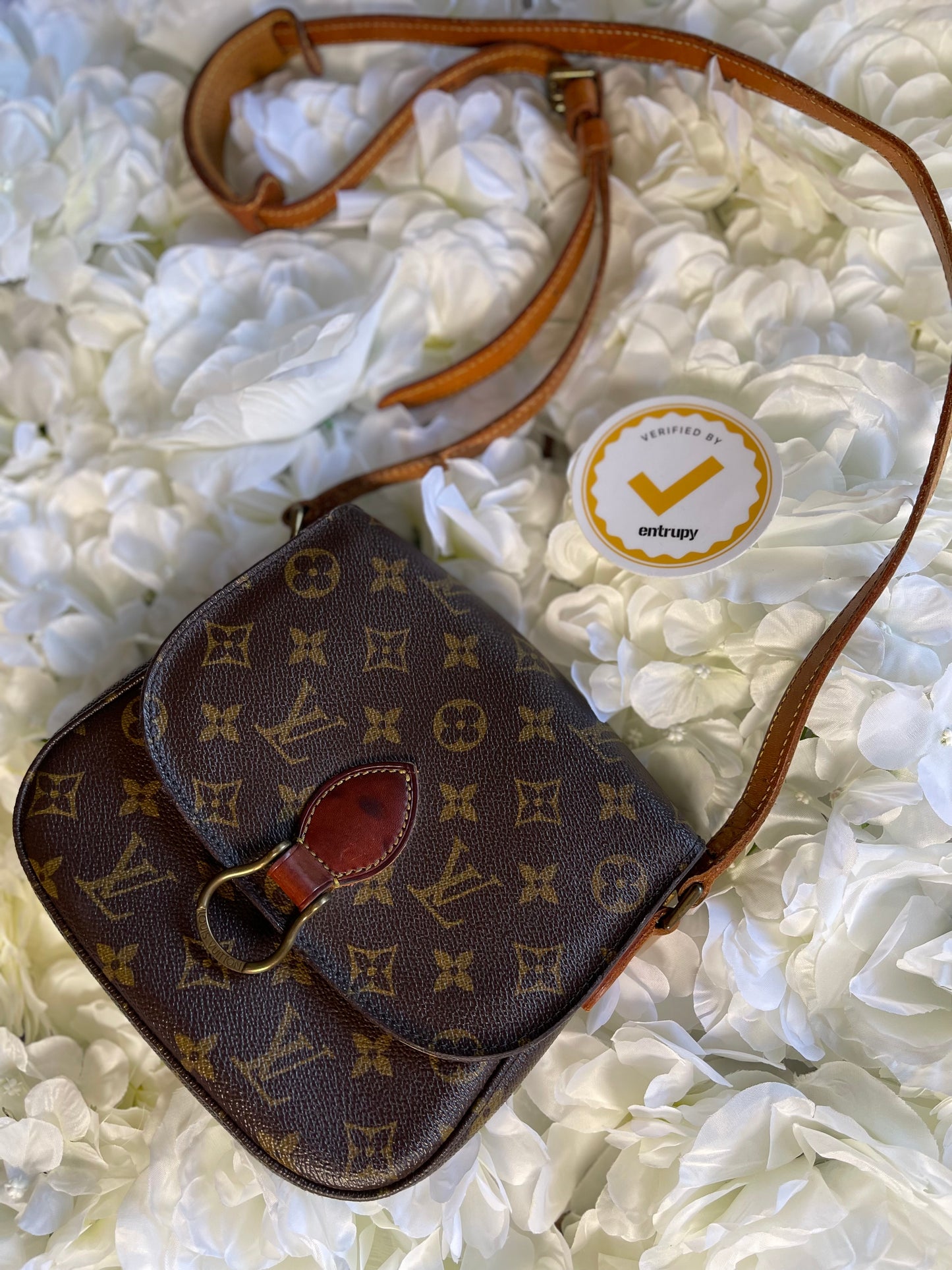 Louis Vuitton Saint Cloud PM Crossbody Handbag Vintage