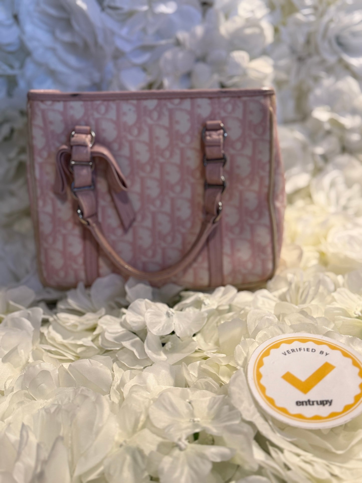 Christian Dior Romantique Trotter Mini Handbag Vintage