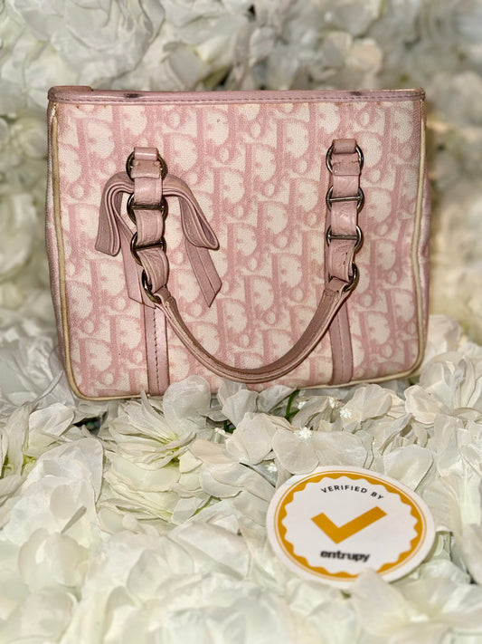 Christian Dior Romantique Trotter Mini Handbag Vintage