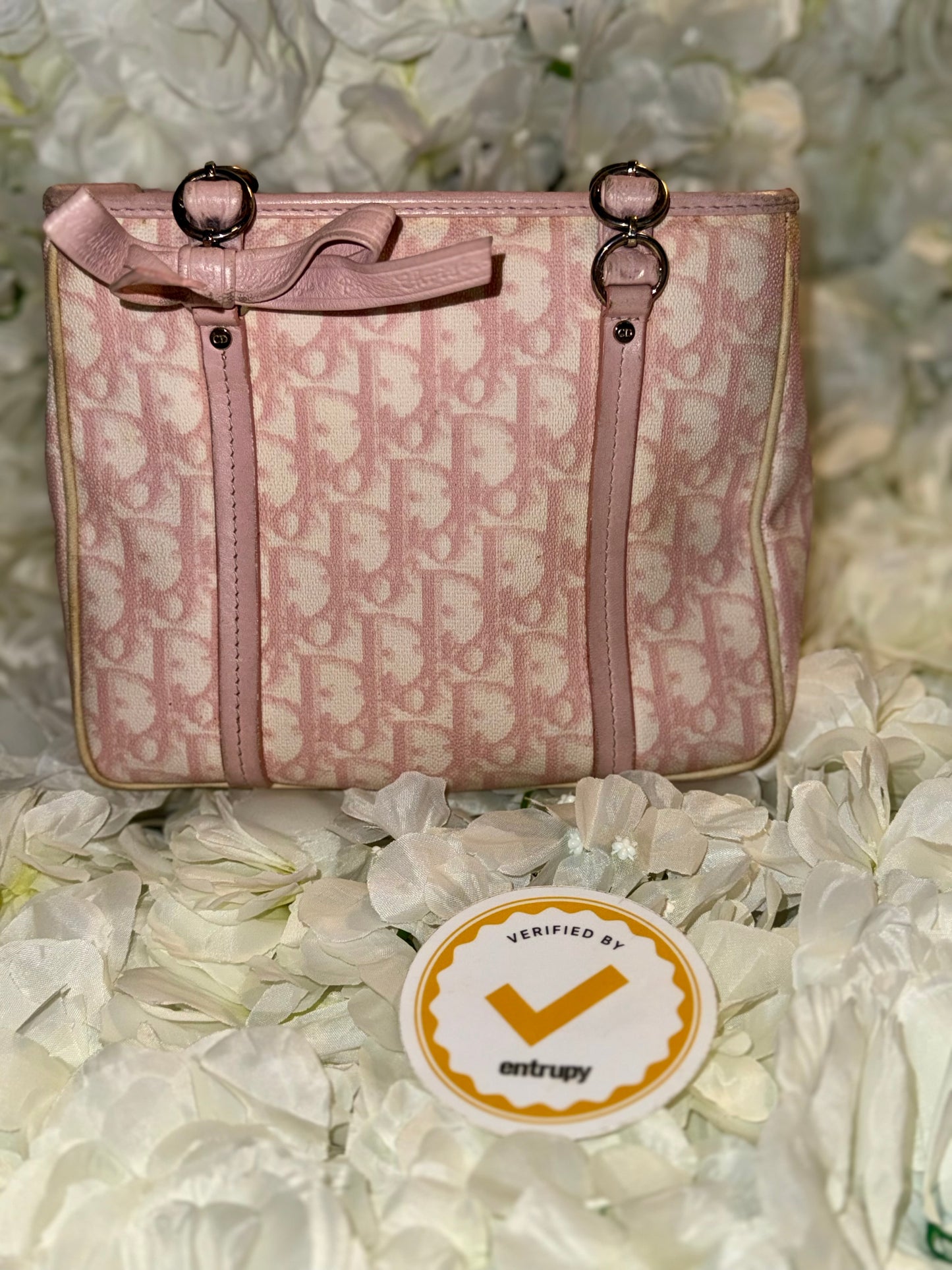 Christian Dior Romantique Trotter Mini Handbag Vintage