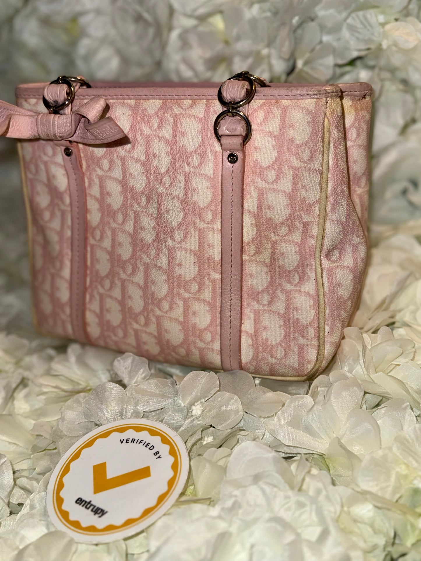 Christian Dior Romantique Trotter Mini Handbag Vintage