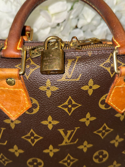 Louis Vuitton Alma PM Handbag Vintage