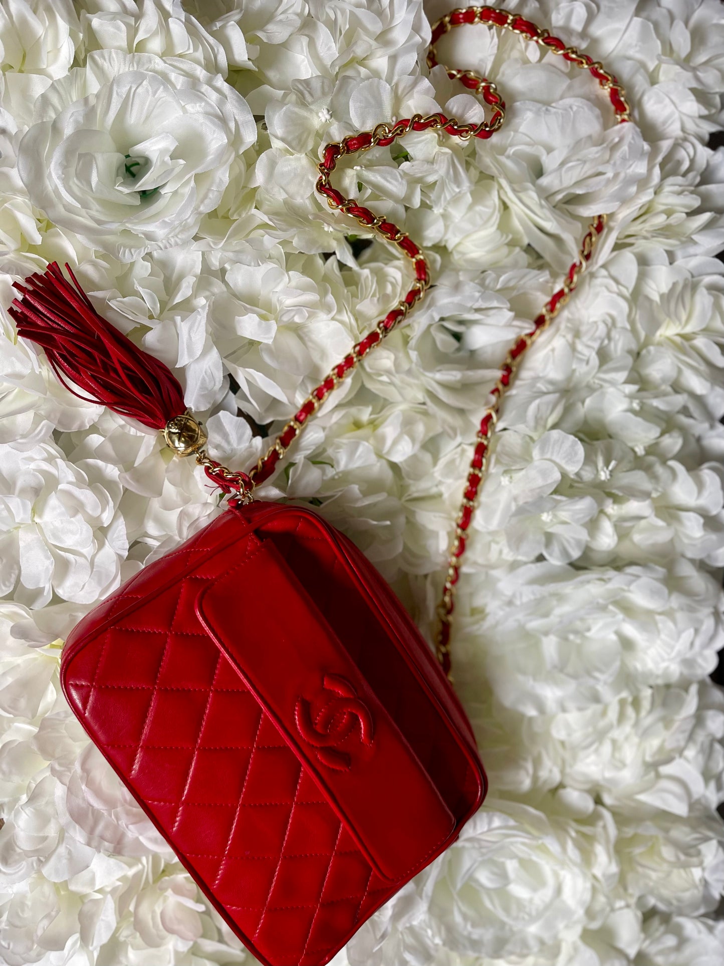 Chanel Red Lambskin Camera Bag-Vintage