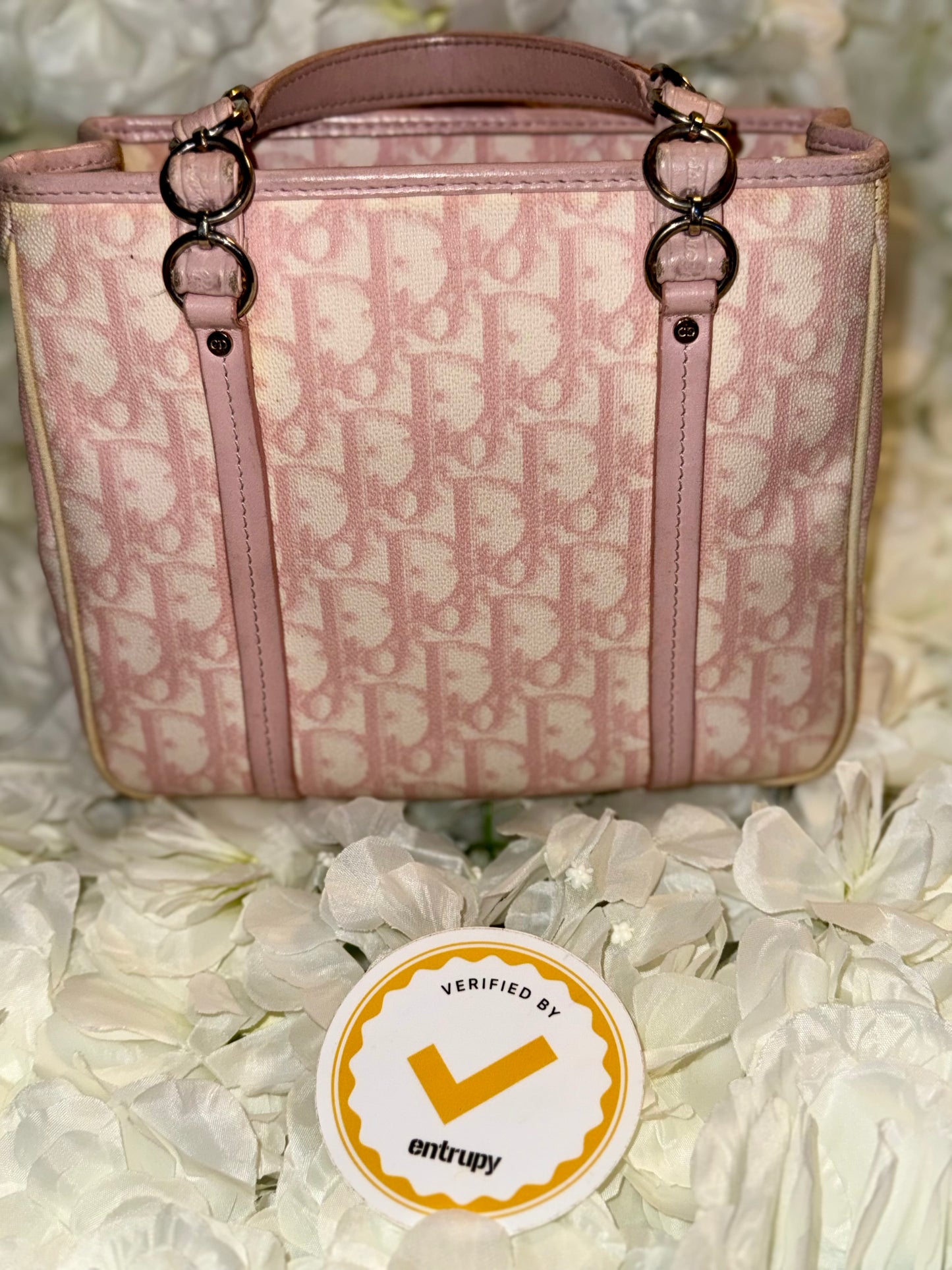 Christian Dior Romantique Trotter Mini Handbag Vintage